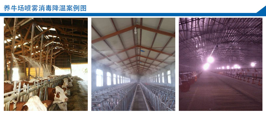 養牛場噴霧消毒降溫案例