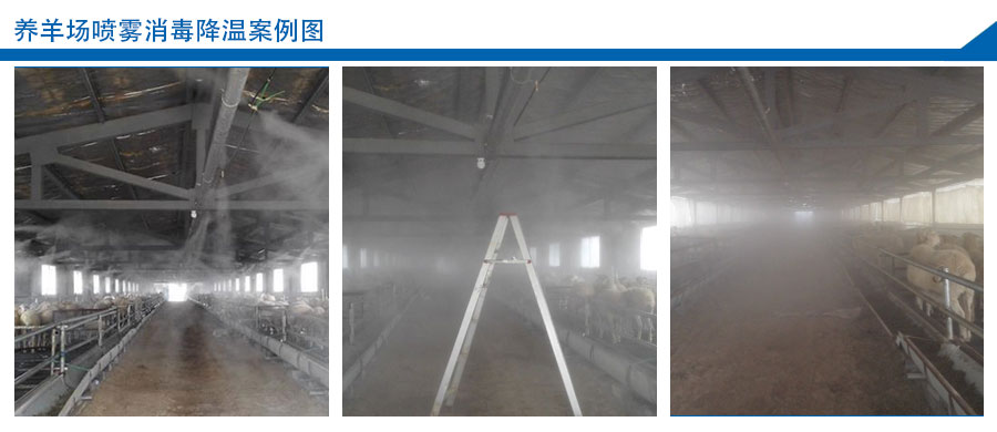 養羊場噴霧消毒降溫案例