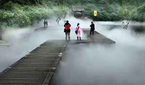 保健功用 保健功用